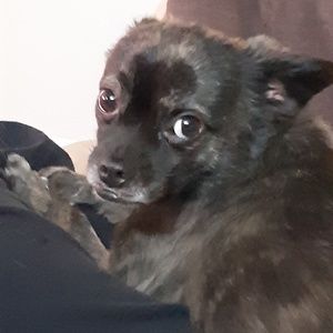 Meet your Posher, Melanie